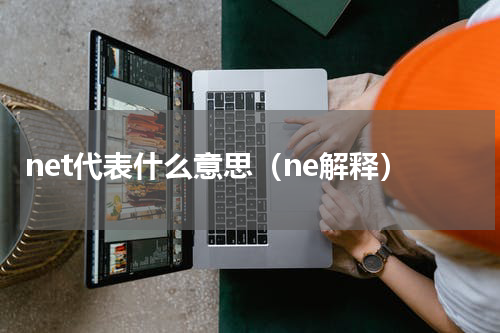net代表什么意思（ne解释）