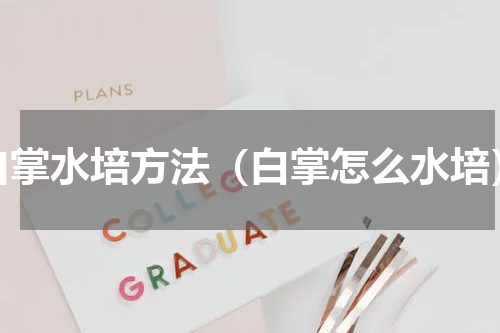 白掌水培方法（白掌怎么水培）