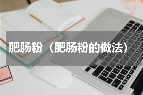 肥肠粉（肥肠粉的做法）