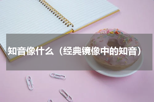 知音像什么（经典镜像中的知音）