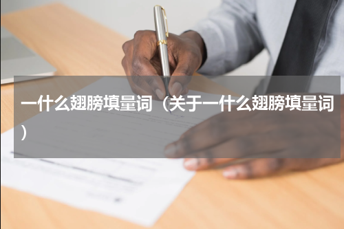 一什么翅膀填量词（关于一什么翅膀填量词）