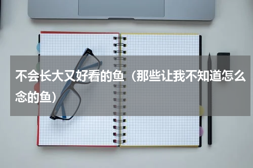 不会长大又好看的鱼（那些让我不知道怎么念的鱼）