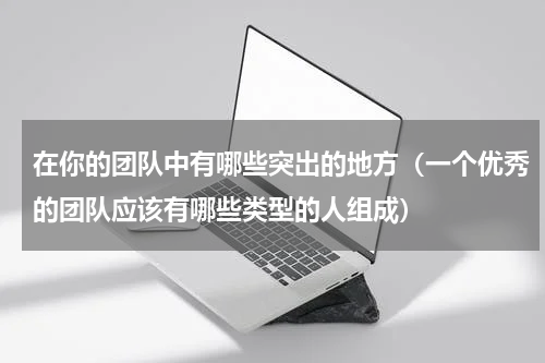 在你的团队中有哪些突出的地方（一个优秀的团队应该有哪些类型的人组成）