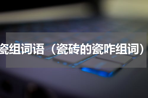 瓷组词语（瓷砖的瓷咋组词）