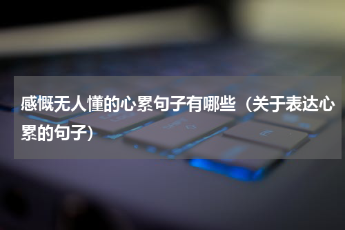 感慨无人懂的心累句子有哪些（关于表达心累的句子）