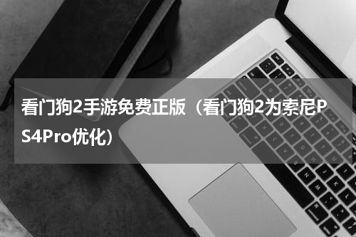 看门狗2手游免费正版（看门狗2为索尼PS4Pro优化）