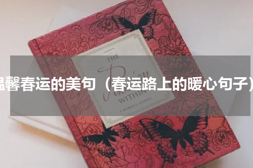 温馨春运的美句（春运路上的暖心句子）