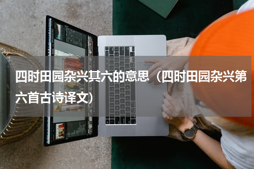 四时田园杂兴其六的意思（四时田园杂兴第六首古诗译文）