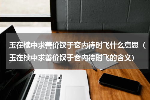 玉在椟中求善价钗于奁内待时飞什么意思（玉在椟中求善价钗于奁内待时飞的含义）