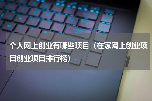 个人网上创业有哪些项目（在家网上创业项目创业项目排行榜）