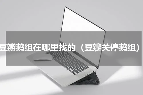 豆瓣鹅组在哪里找的（豆瓣关停鹅组）