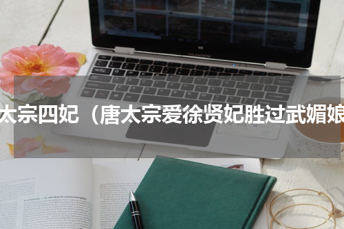 唐太宗四妃（唐太宗爱徐贤妃胜过武媚娘）