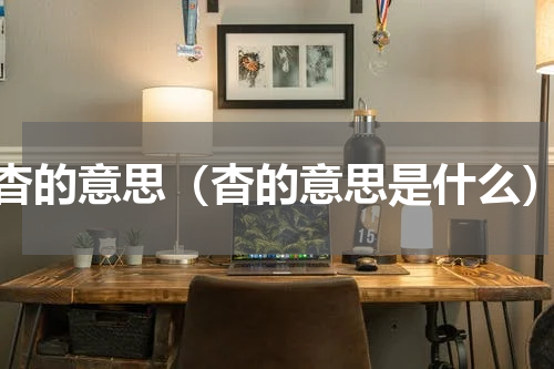 杳的意思（杳的意思是什么）