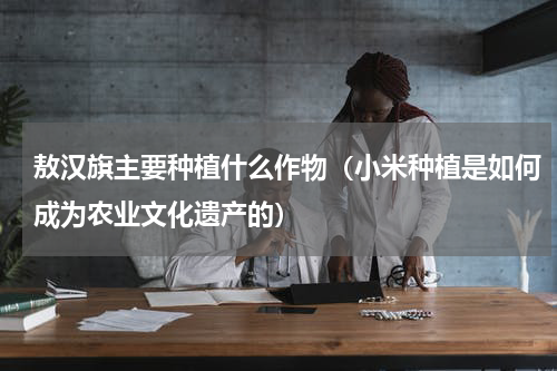 敖汉旗主要种植什么作物（小米种植是如何成为农业文化遗产的）