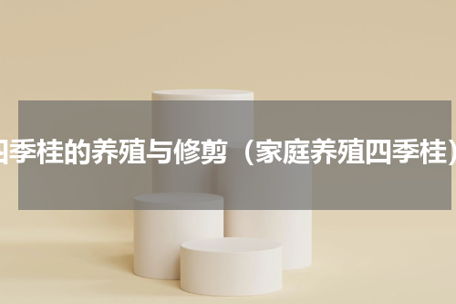 四季桂的养殖与修剪（家庭养殖四季桂）