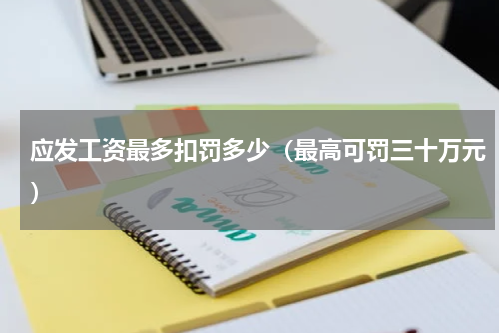 应发工资最多扣罚多少（最高可罚三十万元）