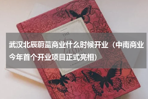 武汉北辰蔚蓝商业什么时候开业（中南商业今年首个开业项目正式亮相）