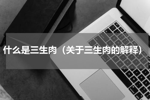什么是三生肉（关于三生肉的解释）