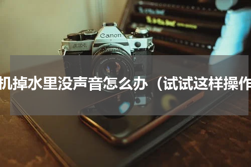 手机掉水里没声音怎么办（试试这样操作）