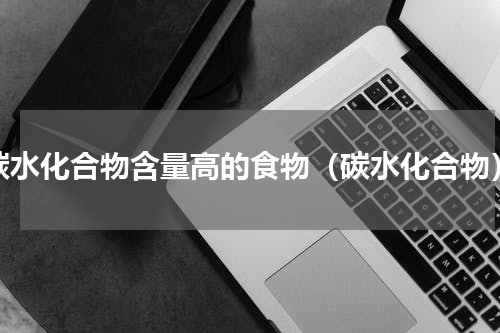 碳水化合物含量高的食物（碳水化合物）