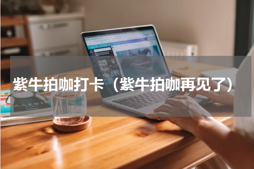 紫牛拍咖打卡（紫牛拍咖再见了）