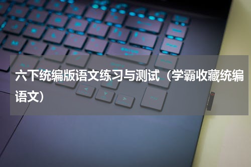 六下统编版语文练习与测试（学霸收藏统编语文）
