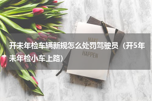 开未年检车辆新规怎么处罚驾驶员（开5年未年检小车上路）