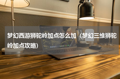 梦幻西游狮驼岭加点怎么加（梦幻三维狮驼岭加点攻略）