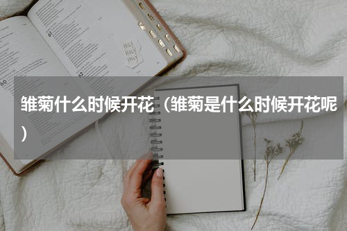雏菊什么时候开花（雏菊是什么时候开花呢）