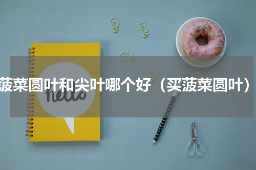 菠菜圆叶和尖叶哪个好（买菠菜圆叶）