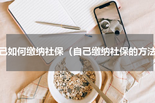 自己如何缴纳社保（自己缴纳社保的方法）