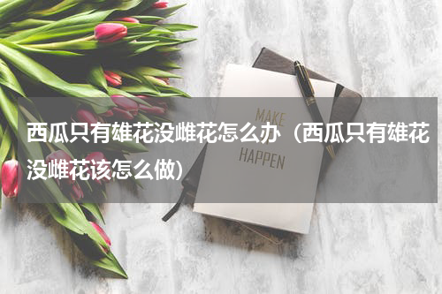 西瓜只有雄花没雌花怎么办（西瓜只有雄花没雌花该怎么做）