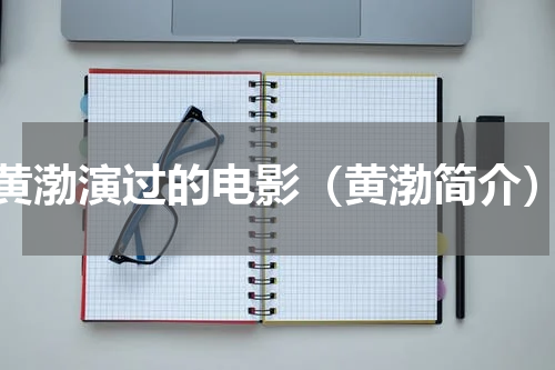 黄渤演过的电影（黄渤简介）