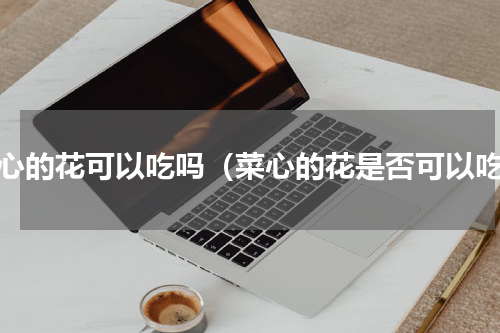 菜心的花可以吃吗（菜心的花是否可以吃）