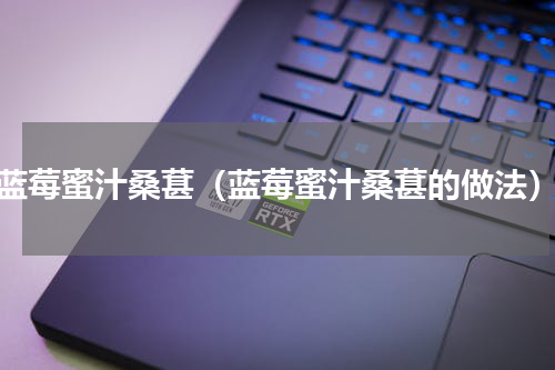 蓝莓蜜汁桑葚（蓝莓蜜汁桑葚的做法）