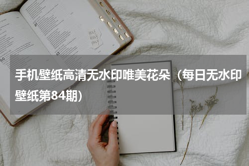 手机壁纸高清无水印唯美花朵（每日无水印壁纸第84期）
