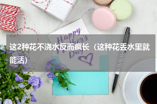 这2种花不浇水反而疯长（这种花丢水里就能活）
