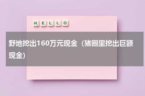 野地挖出160万元现金（猪圈里挖出巨额现金）
