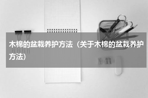 木棉的盆栽养护方法（关于木棉的盆栽养护方法）