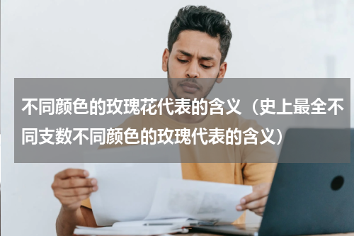 不同颜色的玫瑰花代表的含义（史上最全不同支数不同颜色的玫瑰代表的含义）