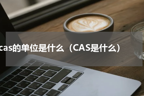 cas的单位是什么（CAS是什么）