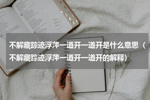不解藏踪迹浮萍一道开一道开是什么意思（不解藏踪迹浮萍一道开一道开的解释）