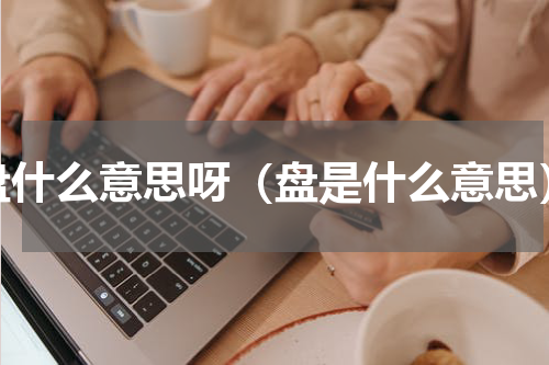 盘什么意思呀（盘是什么意思）