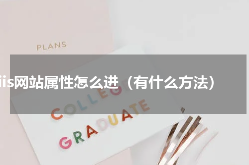 iis网站属性怎么进（有什么方法）