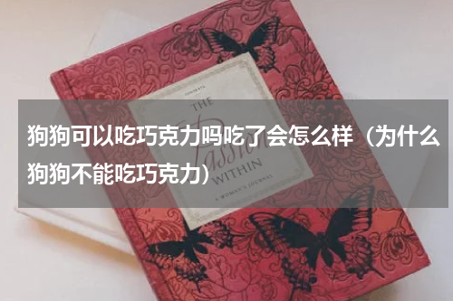 狗狗可以吃巧克力吗吃了会怎么样（为什么狗狗不能吃巧克力）