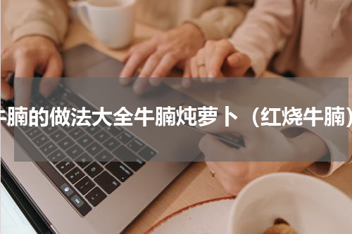 牛腩的做法大全牛腩炖萝卜（红烧牛腩）