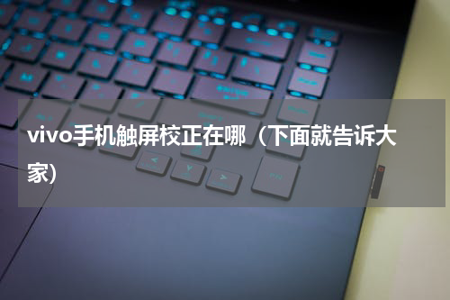 vivo手机触屏校正在哪（下面就告诉大家）