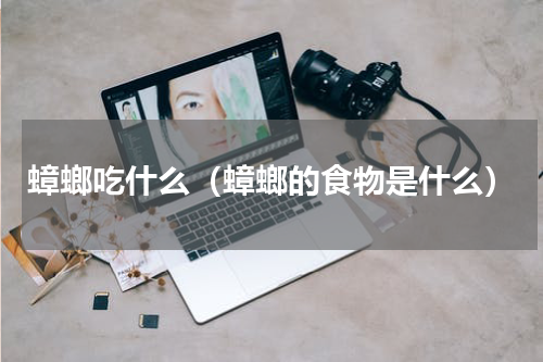 蟑螂吃什么（蟑螂的食物是什么）