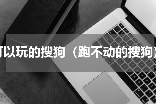 可以玩的搜狗（跑不动的搜狗）