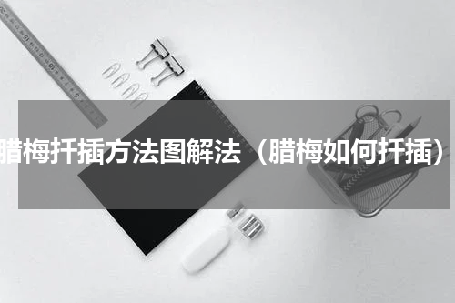 腊梅扦插方法图解法（腊梅如何扦插）